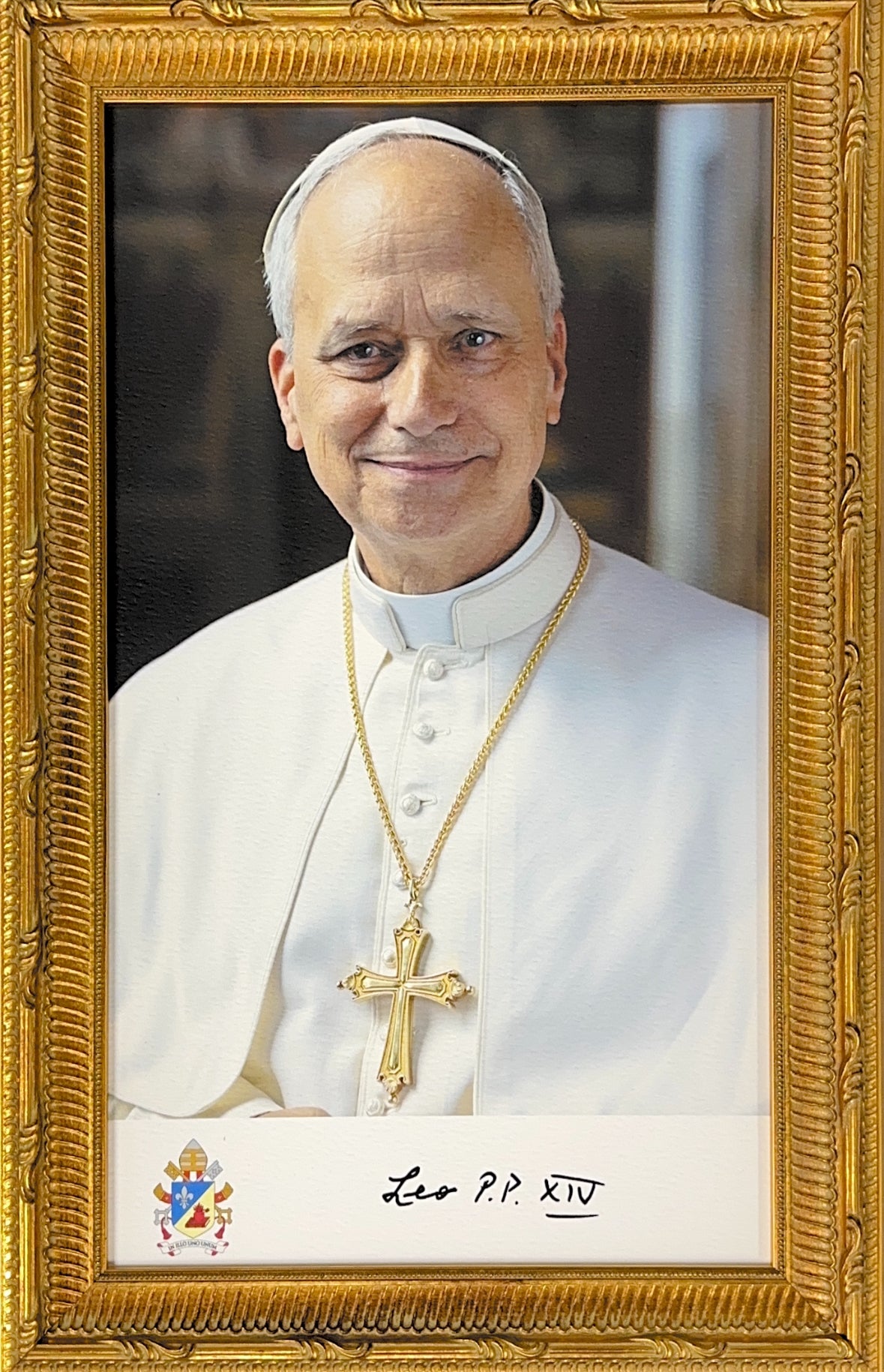 Pope Leo Framed Textured Canvas-Style Print