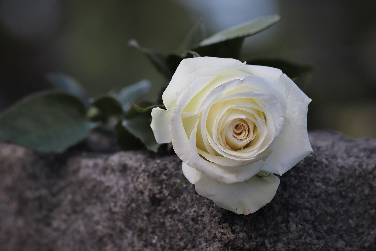 Meaningful Catholic Gift Ideas for Loss and Grief