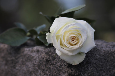 Meaningful Catholic Gift Ideas for Loss and Grief