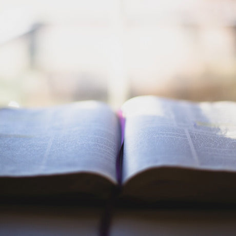 Guides and Spiritual Readings - Chiarelli's Religious Goods & Church Supply