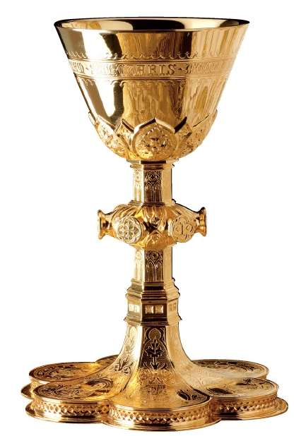 Molina - Chalice | 2990