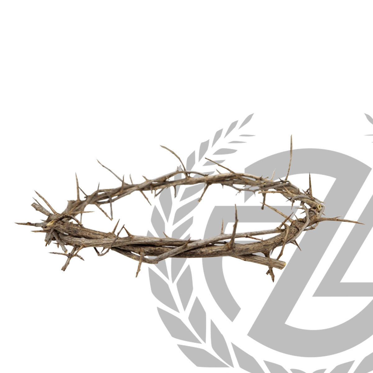 Zieglers - Crown of Thorns