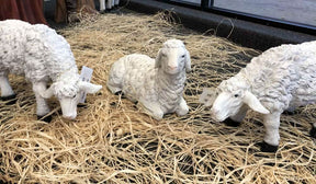 3pc. Sheep Nativity Add-On (For 39" Set) - Catholic Supply of St. Louis - Chiarelli's Religious Goods & Church Supply